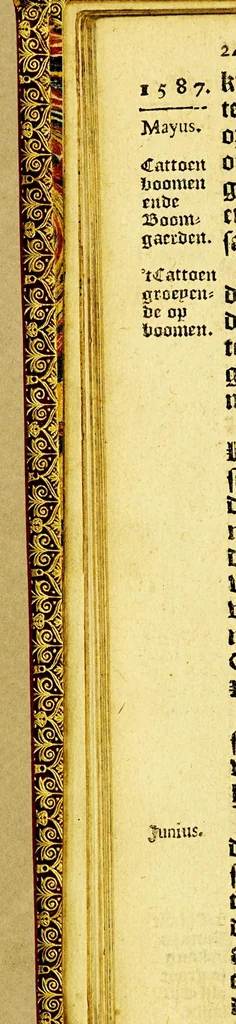 An illustration from Iournalen van drie voyagien, : te weten: 1. Van Mr. Thomas Candish, met drie schepen door de Magallaensche Straet rondom de werelt, inden jare 1586, 1587, en 1588. ... 2. Vande Heer Fransoys Draeck, ende Heer Jan Haukeins, ridderen, naer West-Indien gepretendeert Panama in te nemen ... in den jare 1593. Noch een beschryvinge vande zee vaert der geheeler werelt. Nassausche vloot, 3. ofte beschryvinge vande voyagie om den gantschen aert-kloot, door de Straet Lemaire, onder 't beleydt vanden Admirael Iaques L'Heremite, inde jaren 1623, 1624, 1625, en 1626. : Wy hebben hier achter by ghevoeght en beschrijvinghe vande regeringhe van Peru, door Pedro de Madriga ... met een kort verhael van Chili. Als mede een verhael van Capiteyn Pedro Fernandes de Quir ... aengaende de ontdeckinghe van't onbekent Austrialia ., 1643, leaf 36