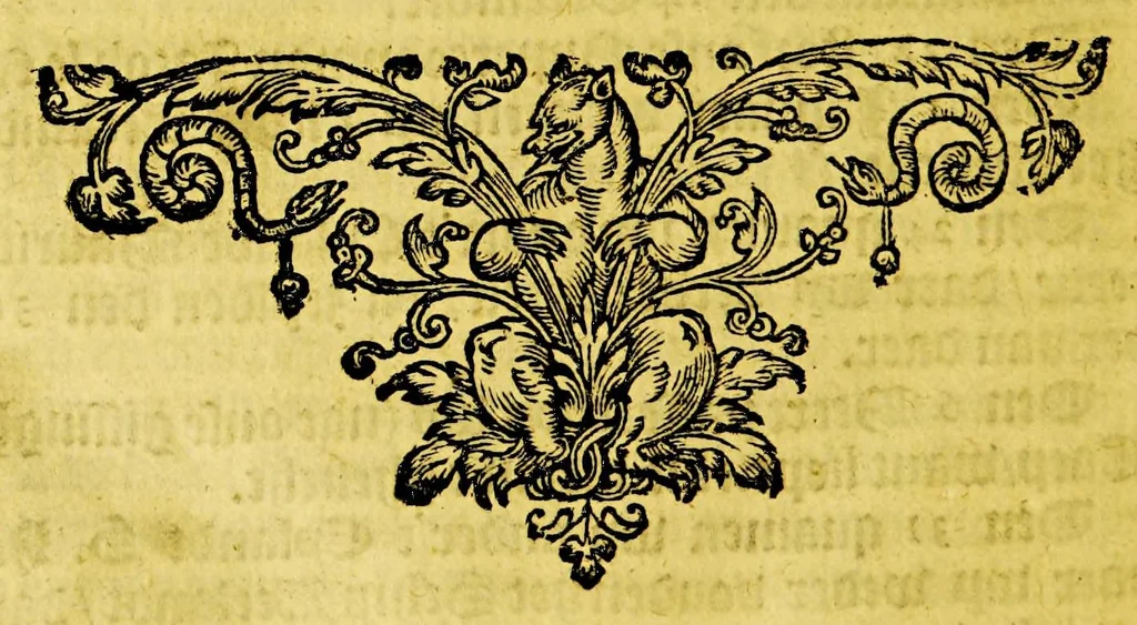 An illustration from Iournal ofte beschryvinghe van de wonderlicke reyse, : ghedaen door Willem Cornelisz Schouten van Hoorn, inde jaren 1615. 1616. en 1617. Hoe hy bezuyden de Strate van Magellanes een nieuwe passagie tot inde groote Zuydzee ontdeckt, en voort den gheheelen aerdkloot omgheseylt, heeft. Wat Eylanden, vreemde volcken en wonderlicke avontueren hem ontmoet zijn, 1618, leaf 124