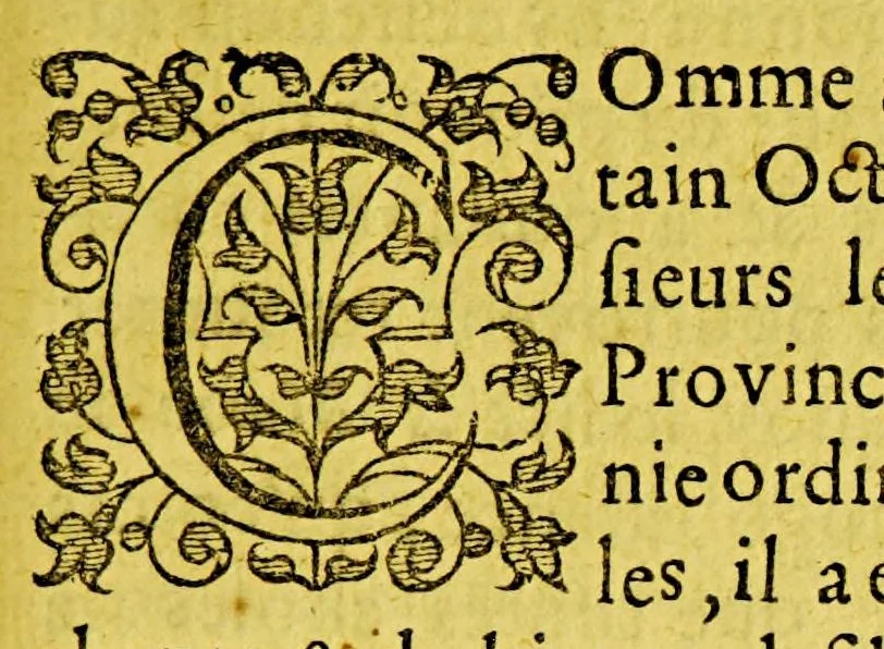 An illustration from Iournal ou description du merveilleux voyage de Guilliaume Schouten, Hollandois natif de Hoorn, : fait es années 1615, 1616 & 1617. Comme (en circumnavigeant le globe terrestre) il a decouvert vers le zud du destroit de Magellan un nouveau passage, jusques à la grand mer de Zud. Ensemble, des avantures admirables qui luy sont advenues en descouvrant de plusieurs isles, & peuples estranges., 1618, leaf 7