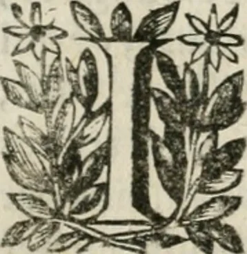 An illustration from Iovrnavx historiques: contenans tout ce qui s'est passé de plus remarquable dans le voyage du roy, & de Son Eminence, depuis leur depart de Paris, le 25. iuin de l'an 1659 : pour le traitté du mariage de sa majesté, & de la paix generale, jusqu'à leur retour : auec une exacte recherche de ce qui s'est fait dans le conferences des deux ministres, & dans le mariage du roy auec l'infante d'Espagne à Fontarabie, & à S. Iean de Lus : et leur entrée dans toutes les villes de leur passage, & leur triomphe dans leur bonne ville de Paris / par le Sieur F.C, 1660, leaf 106