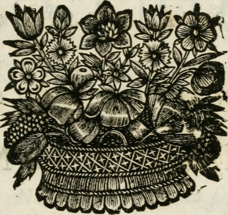 An illustration from Iovrnavx historiques: contenans tout ce qui s'est passé de plus remarquable dans le voyage du roy, & de Son Eminence, depuis leur depart de Paris, le 25. iuin de l'an 1659 : pour le traitté du mariage de sa majesté, & de la paix generale, jusqu'à leur retour : auec une exacte recherche de ce qui s'est fait dans le conferences des deux ministres, & dans le mariage du roy auec l'infante d'Espagne à Fontarabie, & à S. Iean de Lus : et leur entrée dans toutes les villes de leur passage, & leur triomphe dans leur bonne ville de Paris / par le Sieur F.C, 1660, leaf 128