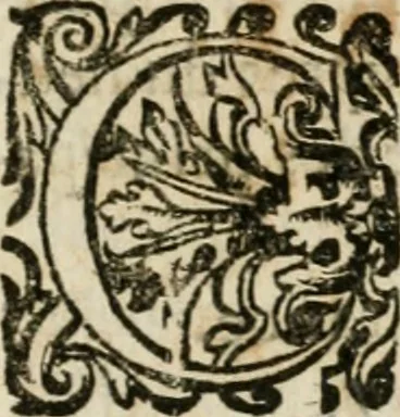 An illustration from Iovrnavx historiques: contenans tout ce qui s'est passé de plus remarquable dans le voyage du roy, & de Son Eminence, depuis leur depart de Paris, le 25. iuin de l'an 1659 : pour le traitté du mariage de sa majesté, & de la paix generale, jusqu'à leur retour : auec une exacte recherche de ce qui s'est fait dans le conferences des deux ministres, & dans le mariage du roy auec l'infante d'Espagne à Fontarabie, & à S. Iean de Lus : et leur entrée dans toutes les villes de leur passage, & leur triomphe dans leur bonne ville de Paris / par le Sieur F.C, 1660, leaf 138