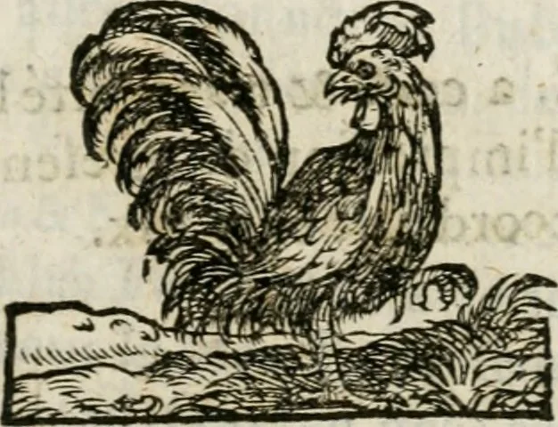 An illustration from Iovrnavx historiques: contenans tout ce qui s'est passé de plus remarquable dans le voyage du roy, & de Son Eminence, depuis leur depart de Paris, le 25. iuin de l'an 1659 : pour le traitté du mariage de sa majesté, & de la paix generale, jusqu'à leur retour : auec une exacte recherche de ce qui s'est fait dans le conferences des deux ministres, & dans le mariage du roy auec l'infante d'Espagne à Fontarabie, & à S. Iean de Lus : et leur entrée dans toutes les villes de leur passage, & leur triomphe dans leur bonne ville de Paris / par le Sieur F.C, 1660, leaf 172