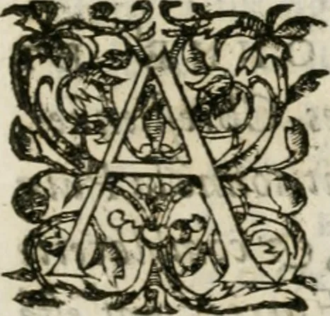 An illustration from Iovrnavx historiques: contenans tout ce qui s'est passé de plus remarquable dans le voyage du roy, & de Son Eminence, depuis leur depart de Paris, le 25. iuin de l'an 1659 : pour le traitté du mariage de sa majesté, & de la paix generale, jusqu'à leur retour : auec une exacte recherche de ce qui s'est fait dans le conferences des deux ministres, & dans le mariage du roy auec l'infante d'Espagne à Fontarabie, & à S. Iean de Lus : et leur entrée dans toutes les villes de leur passage, & leur triomphe dans leur bonne ville de Paris / par le Sieur F.C, 1660, leaf 174