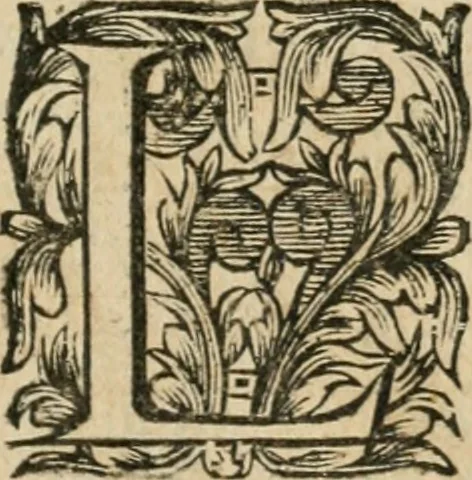 An illustration from Iovrnavx historiques: contenans tout ce qui s'est passé de plus remarquable dans le voyage du roy, & de Son Eminence, depuis leur depart de Paris, le 25. iuin de l'an 1659 : pour le traitté du mariage de sa majesté, & de la paix generale, jusqu'à leur retour : auec une exacte recherche de ce qui s'est fait dans le conferences des deux ministres, & dans le mariage du roy auec l'infante d'Espagne à Fontarabie, & à S. Iean de Lus : et leur entrée dans toutes les villes de leur passage, & leur triomphe dans leur bonne ville de Paris / par le Sieur F.C, 1660, leaf 186