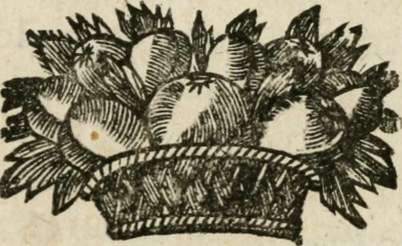 An illustration from Iovrnavx historiques: contenans tout ce qui s'est passé de plus remarquable dans le voyage du roy, & de Son Eminence, depuis leur depart de Paris, le 25. iuin de l'an 1659 : pour le traitté du mariage de sa majesté, & de la paix generale, jusqu'à leur retour : auec une exacte recherche de ce qui s'est fait dans le conferences des deux ministres, & dans le mariage du roy auec l'infante d'Espagne à Fontarabie, & à S. Iean de Lus : et leur entrée dans toutes les villes de leur passage, & leur triomphe dans leur bonne ville de Paris / par le Sieur F.C, 1660, leaf 204