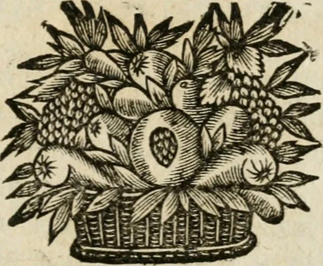 An illustration from Iovrnavx historiques: contenans tout ce qui s'est passé de plus remarquable dans le voyage du roy, & de Son Eminence, depuis leur depart de Paris, le 25. iuin de l'an 1659 : pour le traitté du mariage de sa majesté, & de la paix generale, jusqu'à leur retour : auec une exacte recherche de ce qui s'est fait dans le conferences des deux ministres, & dans le mariage du roy auec l'infante d'Espagne à Fontarabie, & à S. Iean de Lus : et leur entrée dans toutes les villes de leur passage, & leur triomphe dans leur bonne ville de Paris / par le Sieur F.C, 1660, leaf 212