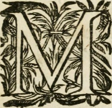 An illustration from Iovrnavx historiques: contenans tout ce qui s'est passé de plus remarquable dans le voyage du roy, & de Son Eminence, depuis leur depart de Paris, le 25. iuin de l'an 1659 : pour le traitté du mariage de sa majesté, & de la paix generale, jusqu'à leur retour : auec une exacte recherche de ce qui s'est fait dans le conferences des deux ministres, & dans le mariage du roy auec l'infante d'Espagne à Fontarabie, & à S. Iean de Lus : et leur entrée dans toutes les villes de leur passage, & leur triomphe dans leur bonne ville de Paris / par le Sieur F.C, 1660, leaf 226