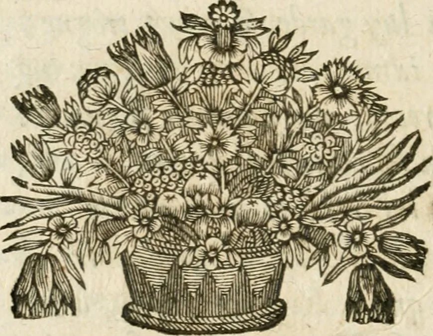 An illustration from Iovrnavx historiques: contenans tout ce qui s'est passé de plus remarquable dans le voyage du roy, & de Son Eminence, depuis leur depart de Paris, le 25. iuin de l'an 1659 : pour le traitté du mariage de sa majesté, & de la paix generale, jusqu'à leur retour : auec une exacte recherche de ce qui s'est fait dans le conferences des deux ministres, & dans le mariage du roy auec l'infante d'Espagne à Fontarabie, & à S. Iean de Lus : et leur entrée dans toutes les villes de leur passage, & leur triomphe dans leur bonne ville de Paris / par le Sieur F.C, 1660, leaf 241