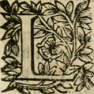 An illustration from Iovrnavx historiques: contenans tout ce qui s'est passé de plus remarquable dans le voyage du roy, & de Son Eminence, depuis leur depart de Paris, le 25. iuin de l'an 1659 : pour le traitté du mariage de sa majesté, & de la paix generale, jusqu'à leur retour : auec une exacte recherche de ce qui s'est fait dans le conferences des deux ministres, & dans le mariage du roy auec l'infante d'Espagne à Fontarabie, & à S. Iean de Lus : et leur entrée dans toutes les villes de leur passage, & leur triomphe dans leur bonne ville de Paris / par le Sieur F.C, 1660, leaf 34