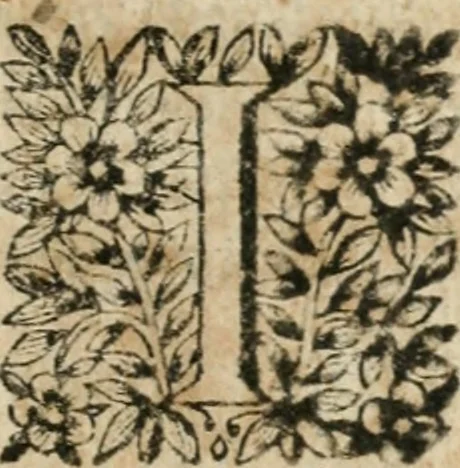 An illustration from Iovrnavx historiques: contenans tout ce qui s'est passé de plus remarquable dans le voyage du roy, & de Son Eminence, depuis leur depart de Paris, le 25. iuin de l'an 1659 : pour le traitté du mariage de sa majesté, & de la paix generale, jusqu'à leur retour : auec une exacte recherche de ce qui s'est fait dans le conferences des deux ministres, & dans le mariage du roy auec l'infante d'Espagne à Fontarabie, & à S. Iean de Lus : et leur entrée dans toutes les villes de leur passage, & leur triomphe dans leur bonne ville de Paris / par le Sieur F.C, 1660, leaf 46