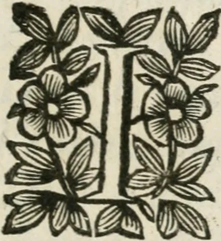 An illustration from Iovrnavx historiques: contenans tout ce qui s'est passé de plus remarquable dans le voyage du roy, & de Son Eminence, depuis leur depart de Paris, le 25. iuin de l'an 1659 : pour le traitté du mariage de sa majesté, & de la paix generale, jusqu'à leur retour : auec une exacte recherche de ce qui s'est fait dans le conferences des deux ministres, & dans le mariage du roy auec l'infante d'Espagne à Fontarabie, & à S. Iean de Lus : et leur entrée dans toutes les villes de leur passage, & leur triomphe dans leur bonne ville de Paris / par le Sieur F.C, 1660, leaf 90