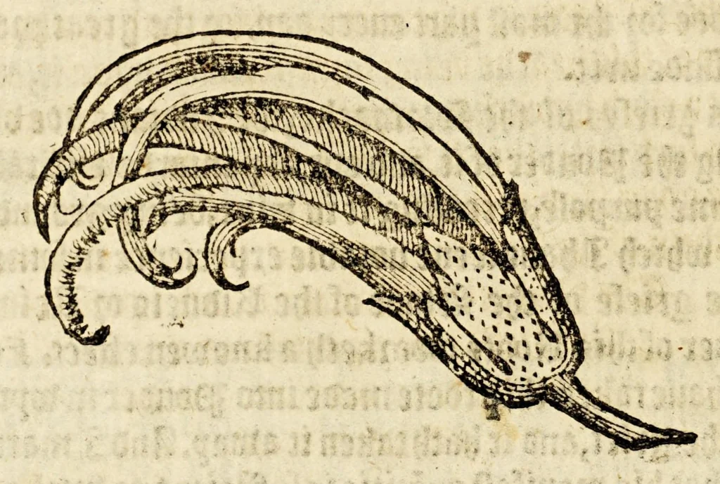 An illustration from Ioyfull newes out of the newfound world, : wherein are declared the rare and singular vertues of diuers and sundrie herbs, trees, oyles, plants, & stones, with their applications, as well to the vse of phisicke, as chirurgery ..., 1580, leaf 130