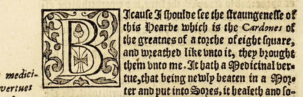 An illustration from Ioyfull newes out of the newfound world, : wherein are declared the rare and singular vertues of diuers and sundrie herbs, trees, oyles, plants, & stones, with their applications, as well to the vse of phisicke, as chirurgery ..., 1580, leaf 198