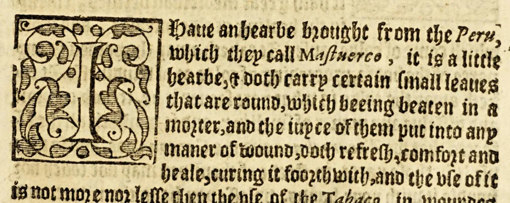 An illustration from Ioyfull newes out of the newfound world, : wherein are declared the rare and singular vertues of diuers and sundrie herbs, trees, oyles, plants, & stones, with their applications, as well to the vse of phisicke, as chirurgery ..., 1580, leaf 201