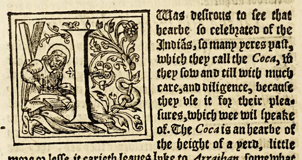 An illustration from Ioyfull newes out of the newfound world, : wherein are declared the rare and singular vertues of diuers and sundrie herbs, trees, oyles, plants, & stones, with their applications, as well to the vse of phisicke, as chirurgery ..., 1580, leaf 212