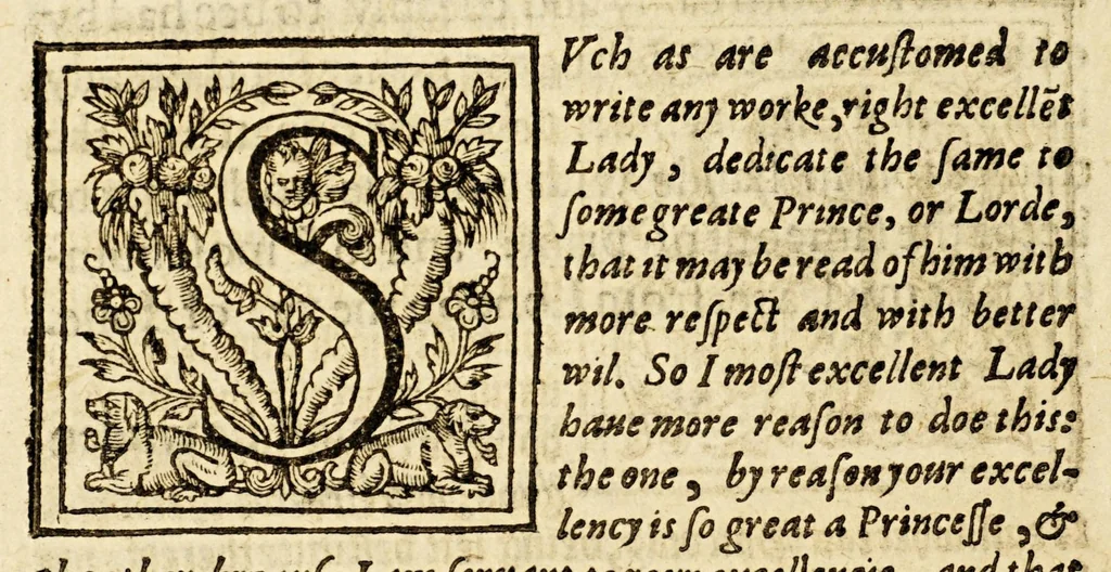 An illustration from Ioyfull newes out of the newfound world, : wherein are declared the rare and singular vertues of diuers and sundrie herbs, trees, oyles, plants, & stones, with their applications, as well to the vse of phisicke, as chirurgery ..., 1580, leaf 236