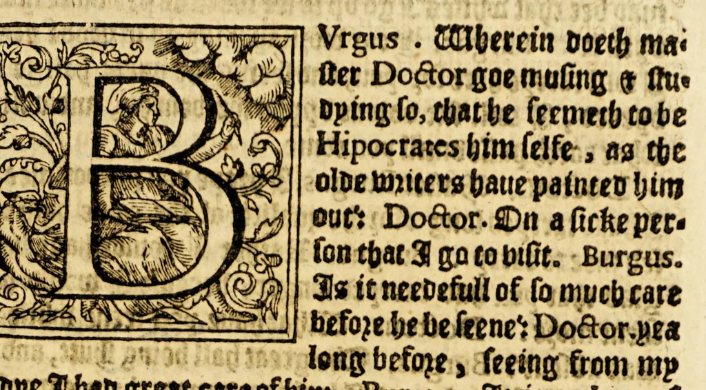 An illustration from Ioyfull newes out of the newfound world, : wherein are declared the rare and singular vertues of diuers and sundrie herbs, trees, oyles, plants, & stones, with their applications, as well to the vse of phisicke, as chirurgery ..., 1580, leaf 291