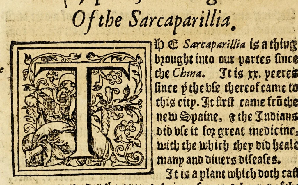 An illustration from Ioyfull newes out of the newfound world, : wherein are declared the rare and singular vertues of diuers and sundrie herbs, trees, oyles, plants, & stones, with their applications, as well to the vse of phisicke, as chirurgery ..., 1580, leaf 40
