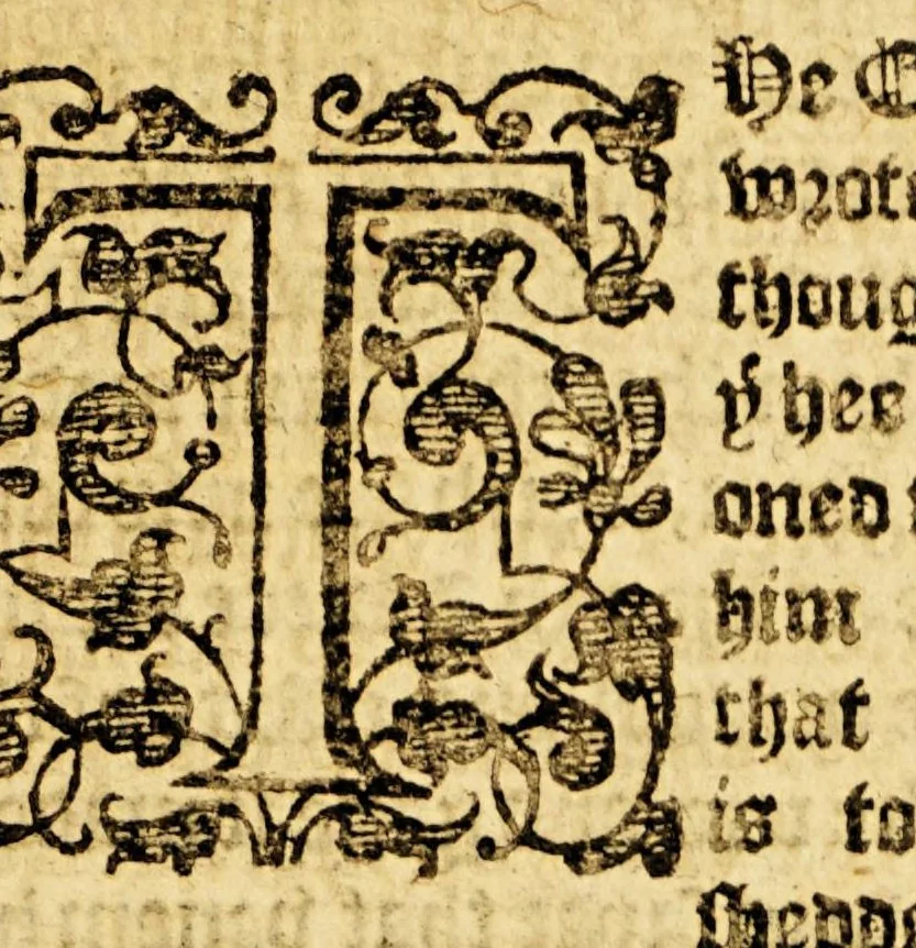 An illustration from Ioyfull newes out of the new-found vvorlde. : Wherein are declared, the rare and singuler vertues of diuers herbs, trees, plantes, oyles & stones, with their applications, as well to the vse of phisicke, as of chirurgery ..., 1596, leaf 155