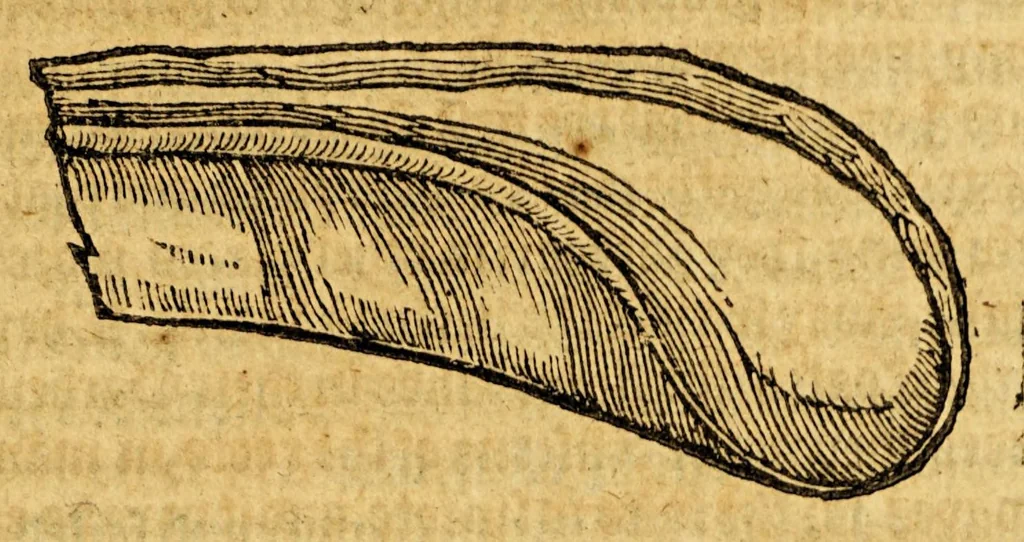 An illustration from Ioyfull newes out of the new-found vvorlde. : Wherein are declared, the rare and singuler vertues of diuers herbs, trees, plantes, oyles & stones, with their applications, as well to the vse of phisicke, as of chirurgery ..., 1596, leaf 167