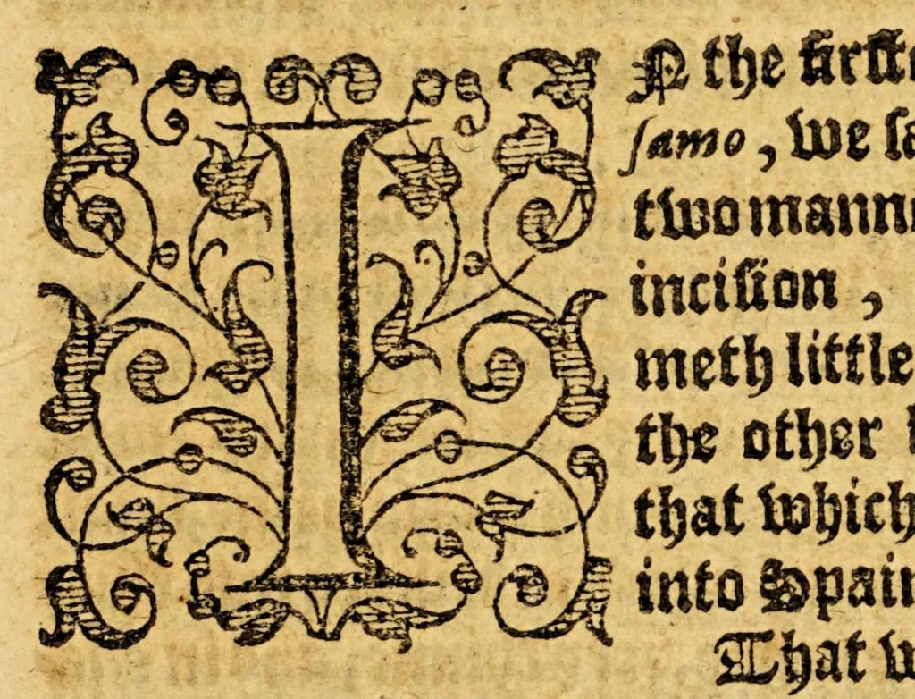An illustration from Ioyfull newes out of the new-found vvorlde. : Wherein are declared, the rare and singuler vertues of diuers herbs, trees, plantes, oyles & stones, with their applications, as well to the vse of phisicke, as of chirurgery ..., 1596, leaf 167