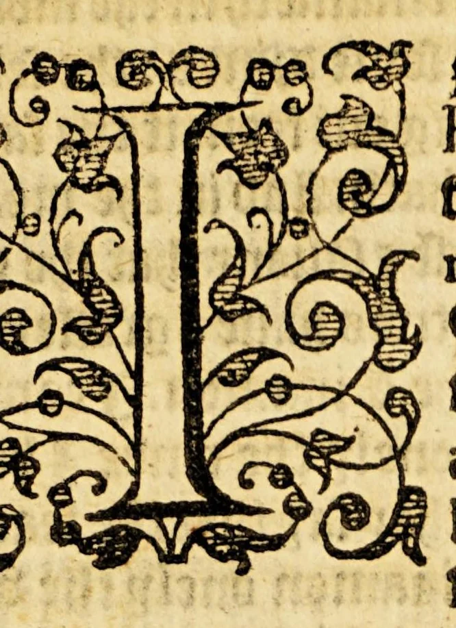 An illustration from Ioyfull newes out of the new-found vvorlde. : Wherein are declared, the rare and singuler vertues of diuers herbs, trees, plantes, oyles & stones, with their applications, as well to the vse of phisicke, as of chirurgery ..., 1596, leaf 191