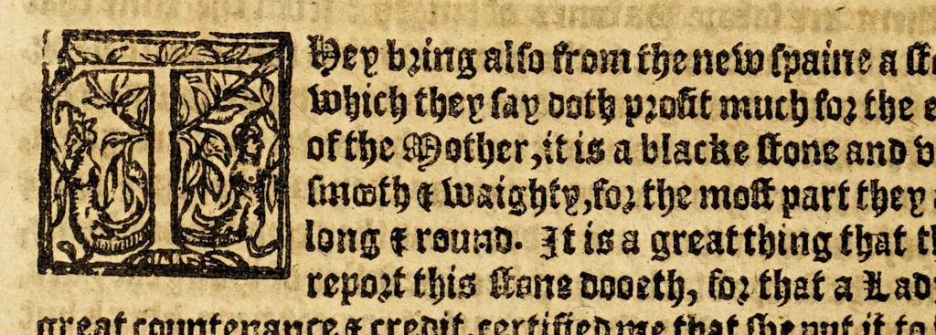 An illustration from Ioyfull newes out of the new-found vvorlde. : Wherein are declared, the rare and singuler vertues of diuers herbs, trees, plantes, oyles & stones, with their applications, as well to the vse of phisicke, as of chirurgery ..., 1596, leaf 226
