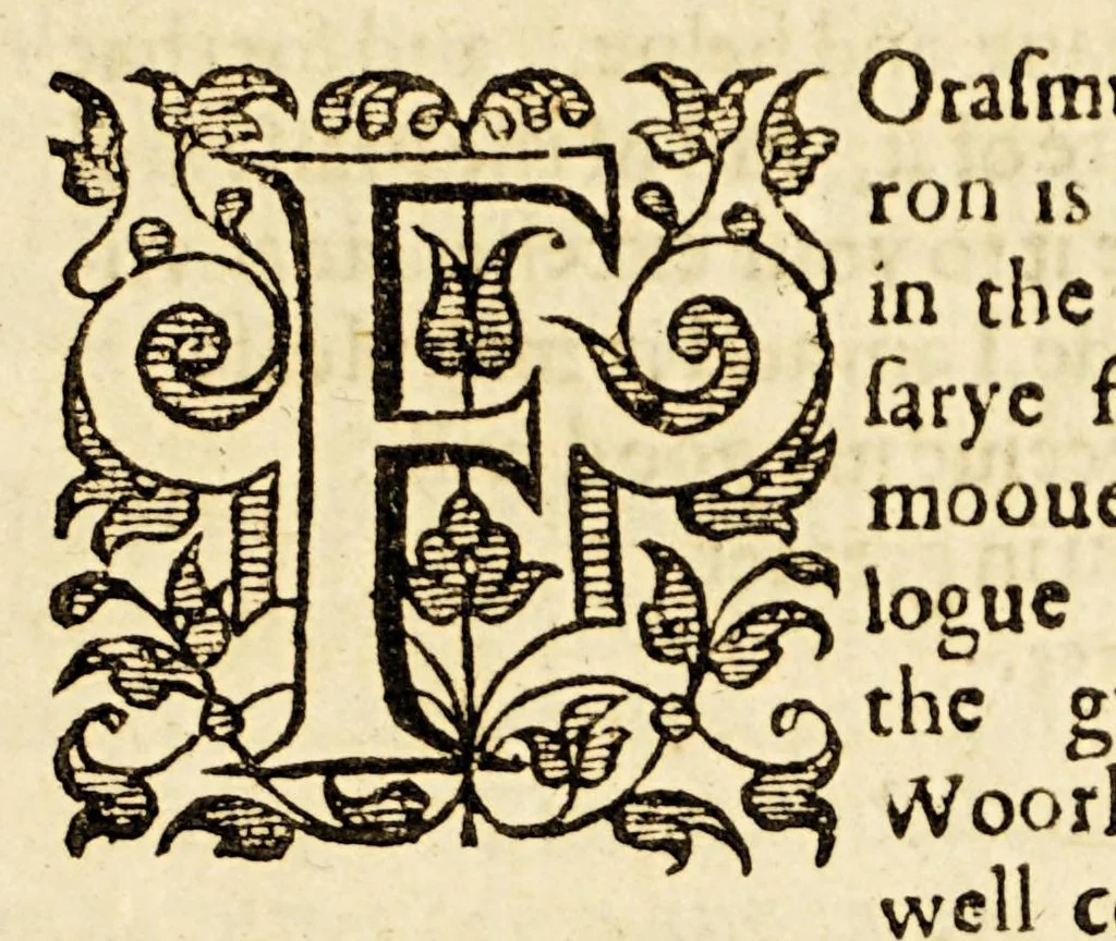 An illustration from Ioyfull newes out of the new-found vvorlde. : Wherein are declared, the rare and singuler vertues of diuers herbs, trees, plantes, oyles & stones, with their applications, as well to the vse of phisicke, as of chirurgery ..., 1596, leaf 295