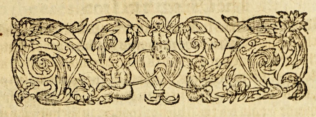 An illustration from Ioyfull newes out of the new-found vvorlde. : Wherein are declared, the rare and singuler vertues of diuers herbs, trees, plantes, oyles & stones, with their applications, as well to the vse of phisicke, as of chirurgery ..., 1596, leaf 343