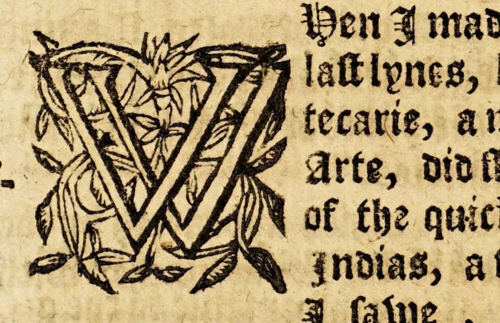 An illustration from Ioyfull newes out of the new-found vvorlde. : Wherein are declared, the rare and singuler vertues of diuers herbs, trees, plantes, oyles & stones, with their applications, as well to the vse of phisicke, as of chirurgery ..., 1596, leaf 76