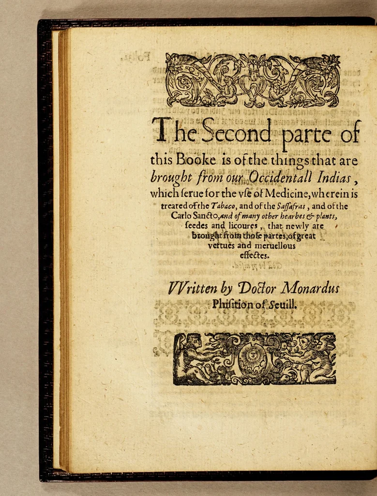 An illustration from Ioyfull newes out of the new-found vvorlde. : Wherein are declared, the rare and singuler vertues of diuers herbs, trees, plantes, oyles & stones, with their applications, as well to the vse of phisicke, as of chirurgery ..., 1596, leaf 80