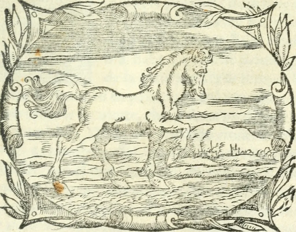 An illustration from I piacevoli et ingeniosi discorsi in piv lettere compresi, e ne la lingua antica uolgari dechiariti. Nei qvali si contengono varii cherebizzi, e fantastiche fantasi philosophiche in varie materie, pur sempre à le uertù accostate, 1557, leaf 6