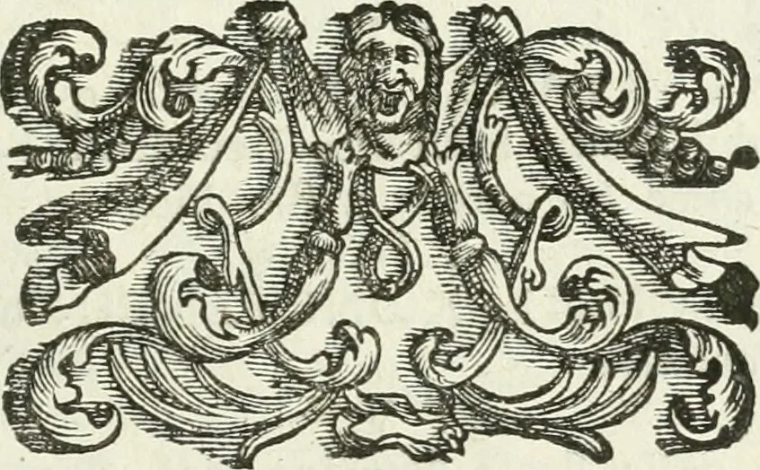 An illustration from I piombi antichi, 1740, leaf 120