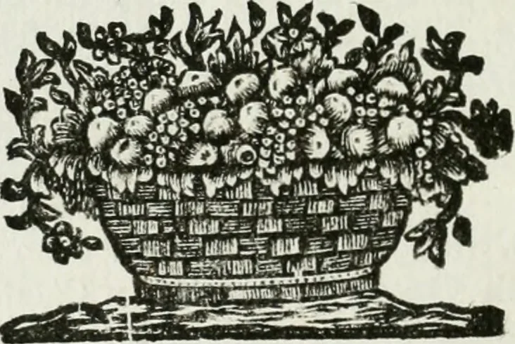 An illustration from I piombi antichi, 1740, leaf 137