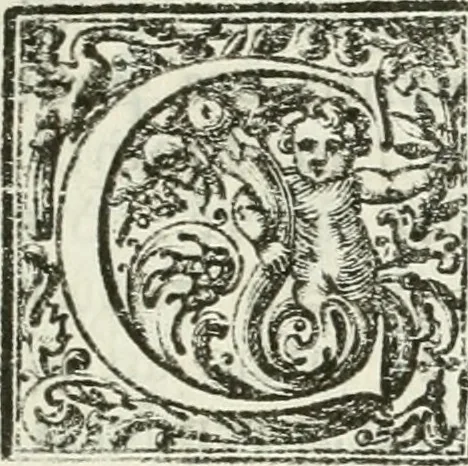 An illustration from I piombi antichi, 1740, leaf 14