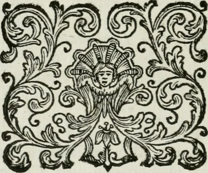 An illustration from I piombi antichi, 1740, leaf 141