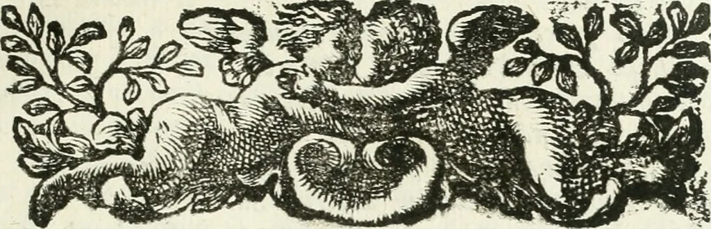 An illustration from I piombi antichi, 1740, leaf 146