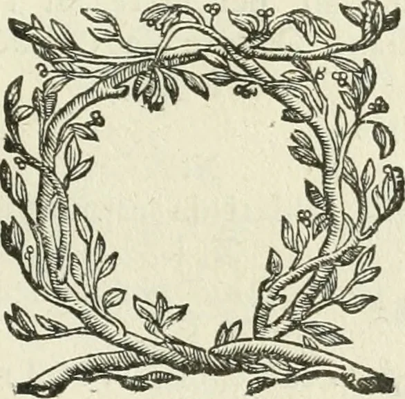 An illustration from I piombi antichi, 1740, leaf 196