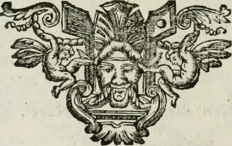 An illustration from I piombi antichi, 1740, leaf 219