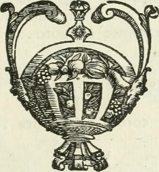 An illustration from I piombi antichi, 1740, leaf 224