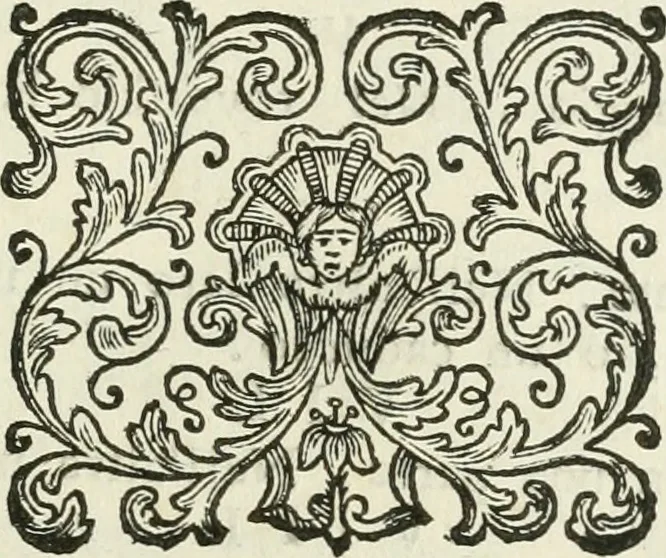 An illustration from I piombi antichi, 1740, leaf 232