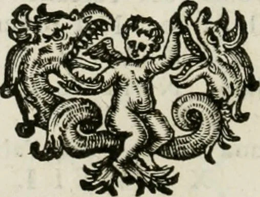 An illustration from I piombi antichi, 1740, leaf 239