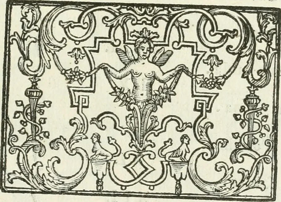 An illustration from I piombi antichi, 1740, leaf 268