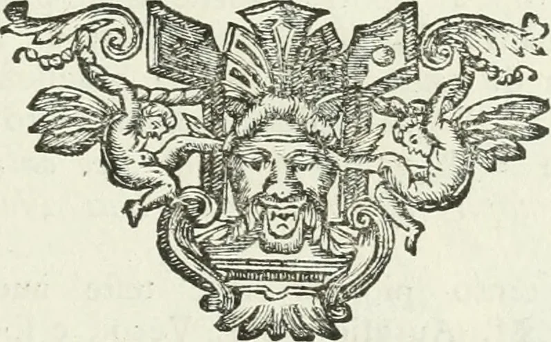 An illustration from I piombi antichi, 1740, leaf 30