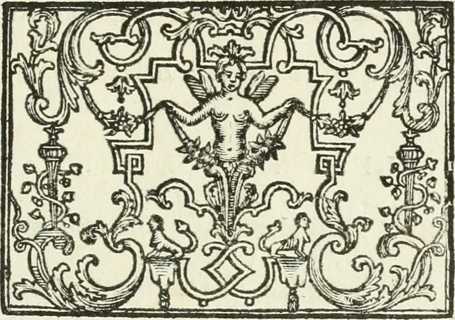 An illustration from I piombi antichi, 1740, leaf 304