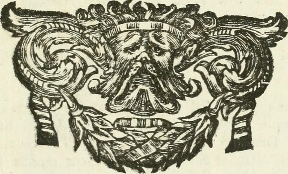 An illustration from I piombi antichi, 1740, leaf 308