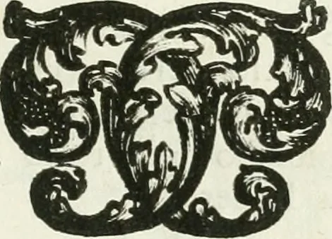 An illustration from I piombi antichi, 1740, leaf 96