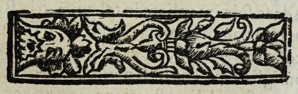 An illustration from I pomi d'oro / di Gio. Francesco Angelita, Roco Accademico Disuguale ; doue si contengono due lettioni, de' fichi l'vna, e de' melloni l'altra ; nelle quali non solo si scorgono le lor lodi, e le loro eccellenze, ma si scoprono molti segreti per vsarli, e per cultiuarli ; e si notano molti errori di diuersi grand'huomini intorno al loro sentimento ; aggiuntavi vna lettione della lvmaca doue si pruoua, ch'ella sia maestra della vita human .., 1607, leaf 137