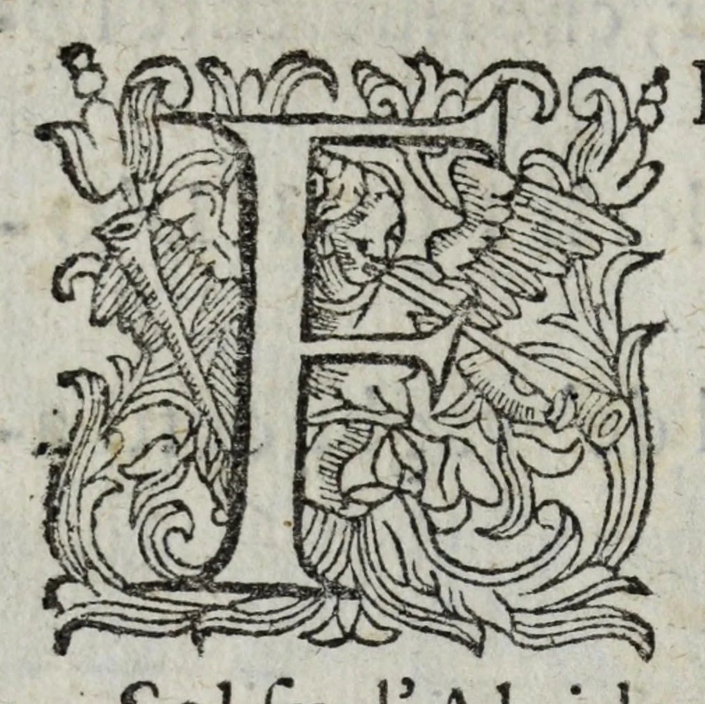An illustration from I pomi d'oro / di Gio. Francesco Angelita, Roco Accademico Disuguale ; doue si contengono due lettioni, de' fichi l'vna, e de' melloni l'altra ; nelle quali non solo si scorgono le lor lodi, e le loro eccellenze, ma si scoprono molti segreti per vsarli, e per cultiuarli ; e si notano molti errori di diuersi grand'huomini intorno al loro sentimento ; aggiuntavi vna lettione della lvmaca doue si pruoua, ch'ella sia maestra della vita human .., 1607, leaf 16